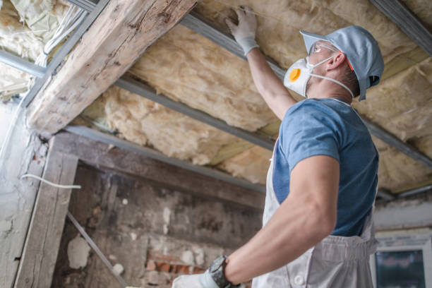 Best Eco-Friendly Insulation in Absecon Highlands, NJ